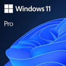 Load image into Gallery viewer, Microsoft Windows 11 Professional Single-User ESD License FQC-10572