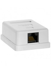 Load image into Gallery viewer, Acconet CAT6 Wall Box with Single RJ45 Port, Cabling & Cabinets, LAN Cable & Connector, Utilities, High-Speed Ethernet Connectivity, Easy Installation