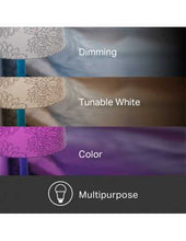 Load image into Gallery viewer, TP-Link KL130 Multicolour Smart Wi-Fi A19 LED Bulb, 16 Million Colors, Dimmable, Tunable White (2500-9000K), No Hub Required, 60W Equivalent, 2.4GHz