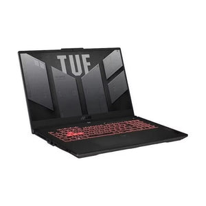 ASUS TUF A17 17.3" Gaming Laptop,AMD Ryzen 9-7940HS,NVIDIA GeForce RTX 4050,64GB RAM,4TB SSD,Mecha Grey,Win11