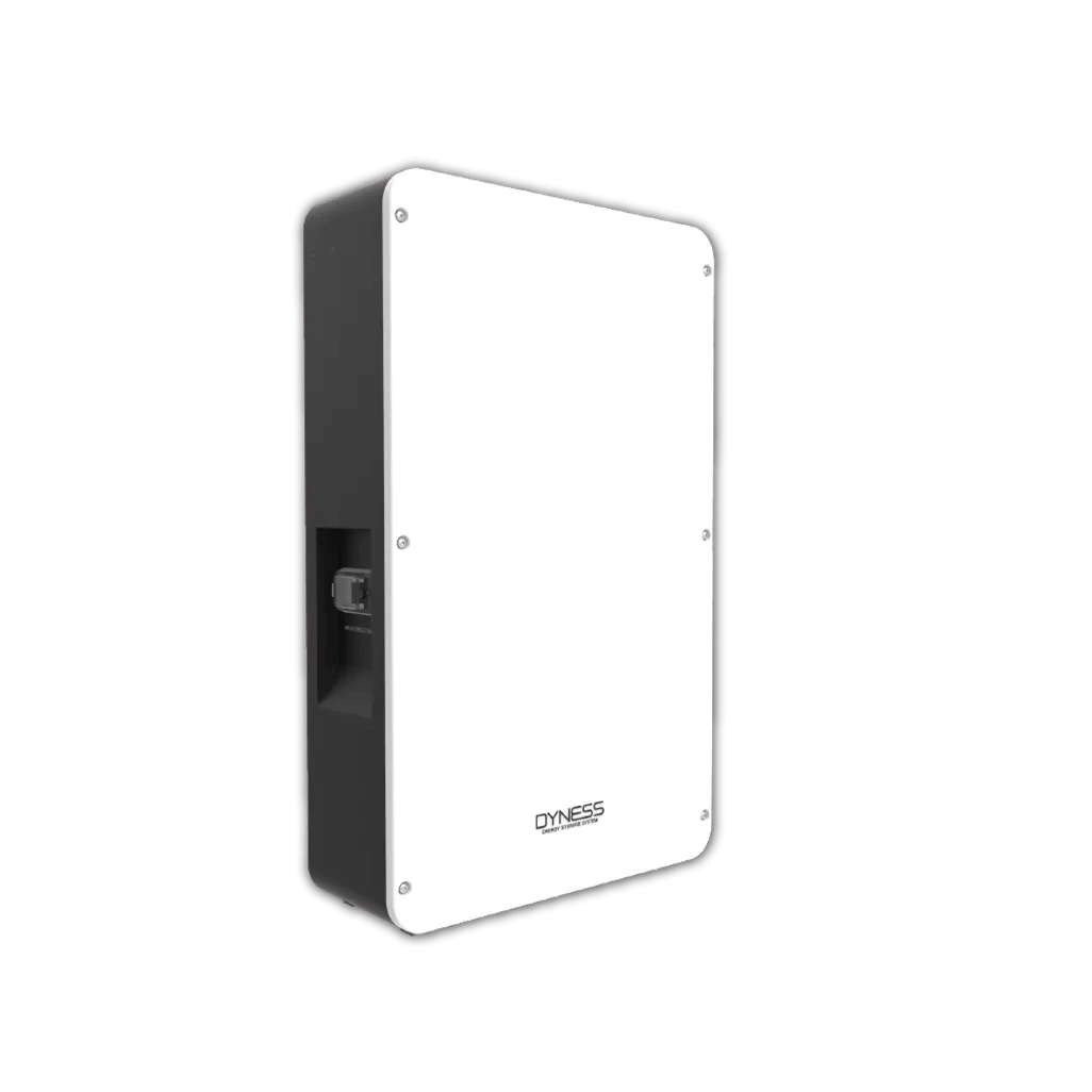 RCT Dyness Power Box Pro 51.2V 10.24kWh, Wall-Mountable Lithium Power Pack, IP65 Rated for Outdoor Use, Reliable and Efficient Energy Storage Solution